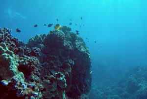 Snorkeling!
