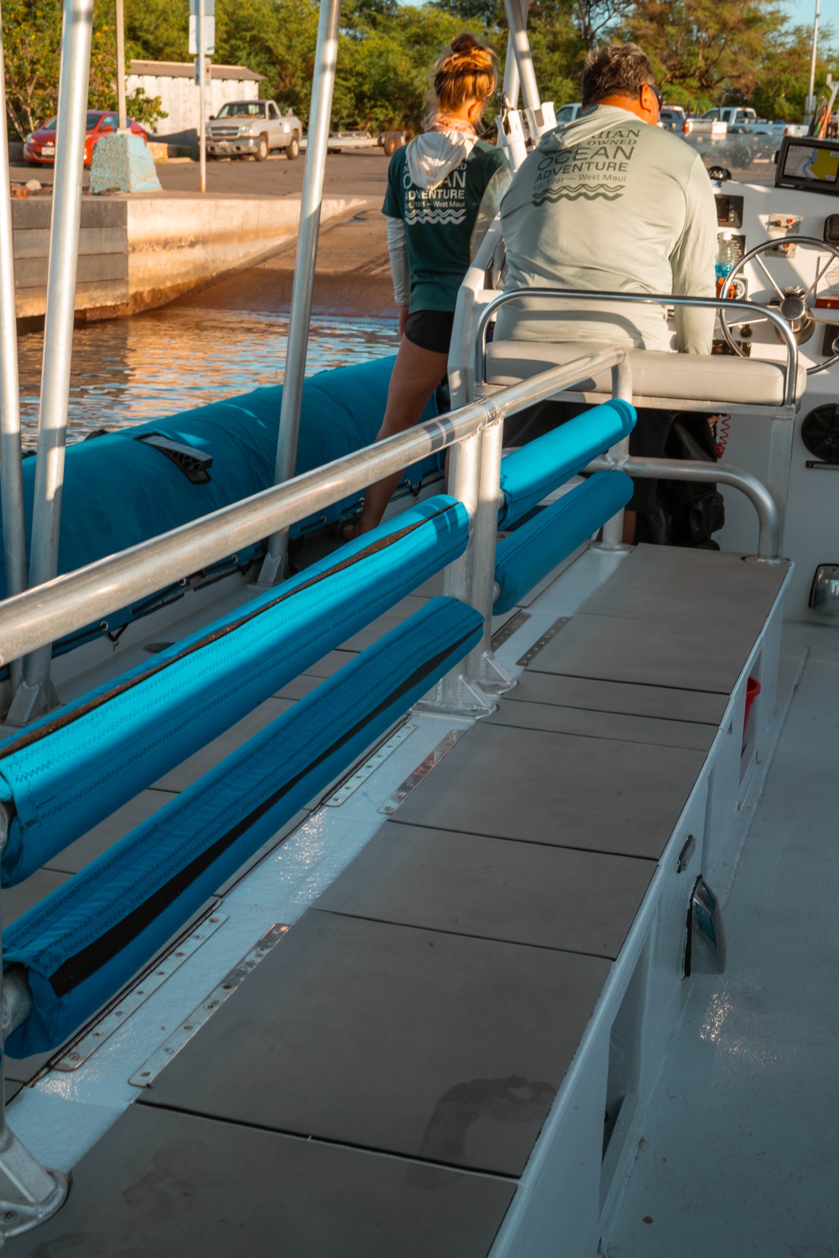 Maui Dolphin Tour &amp; Whale Search