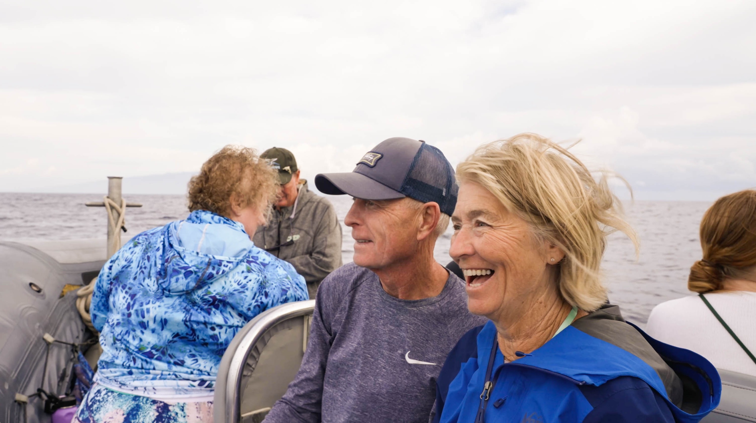 Maui Dolphin Tour &amp; Whale Search