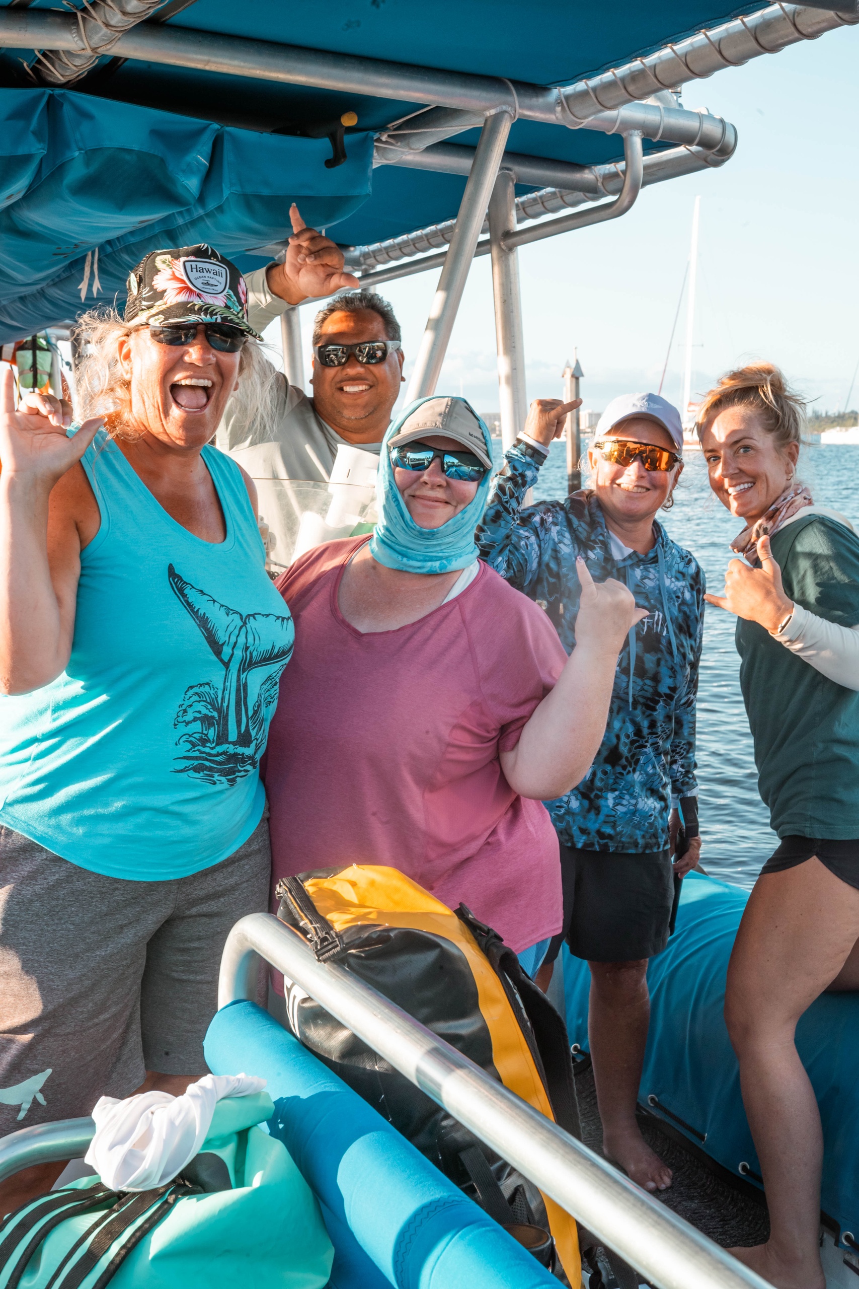 Maui Dolphin Tour &amp; Whale Search
