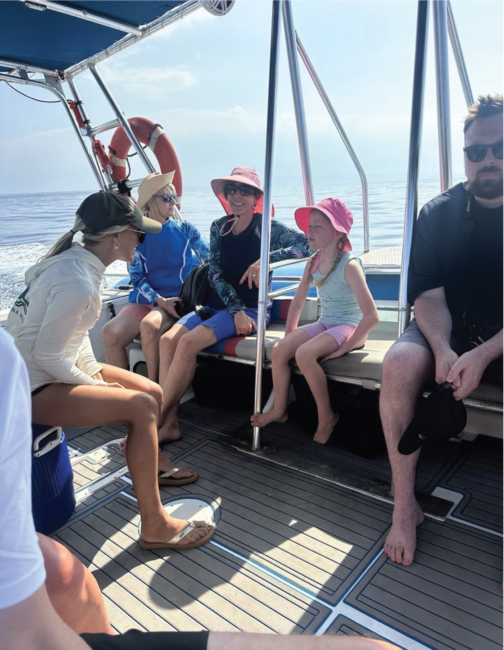 Maui Dolphin Tour &amp; Whale Search