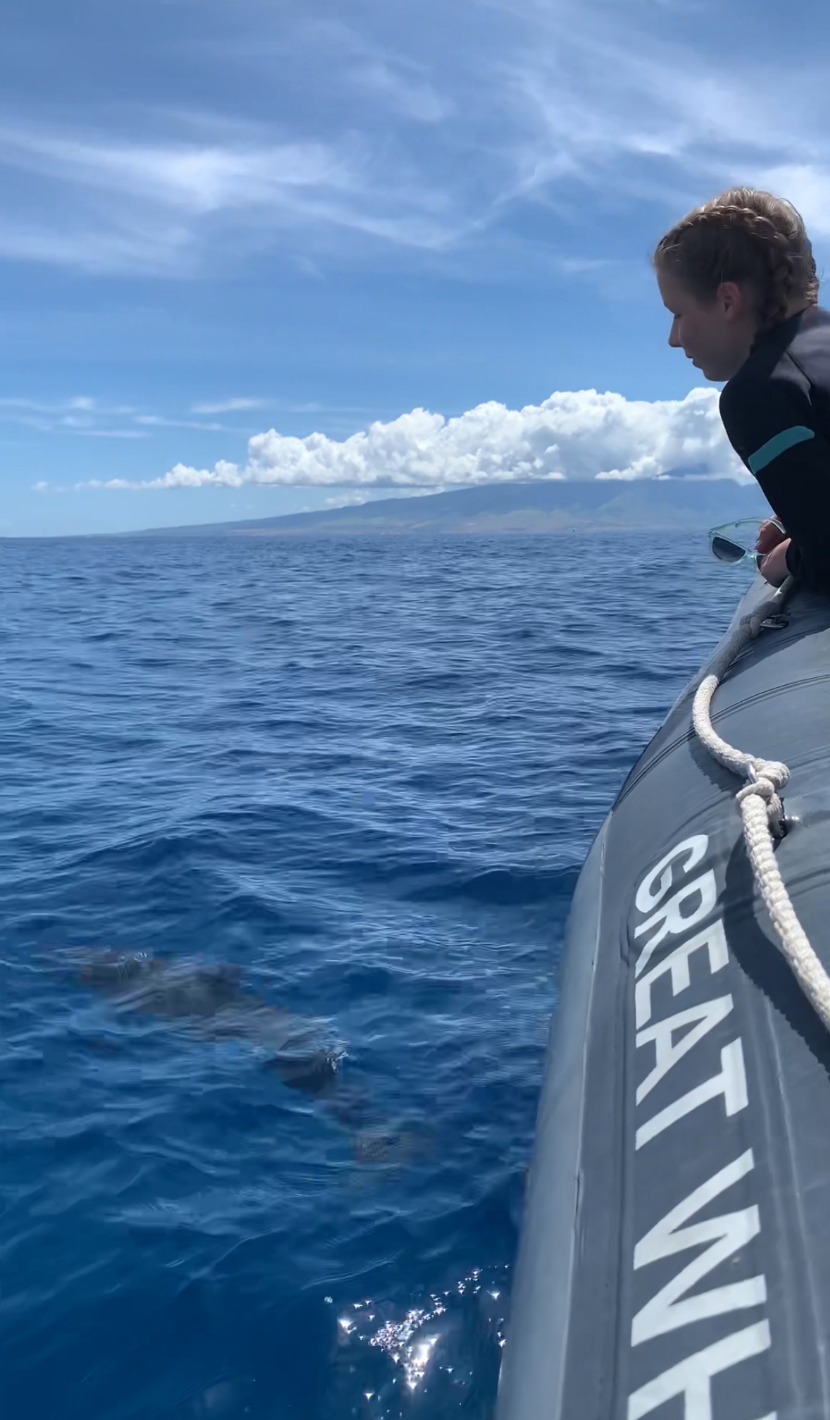 Maui Dolphin Tour &amp; Whale Search