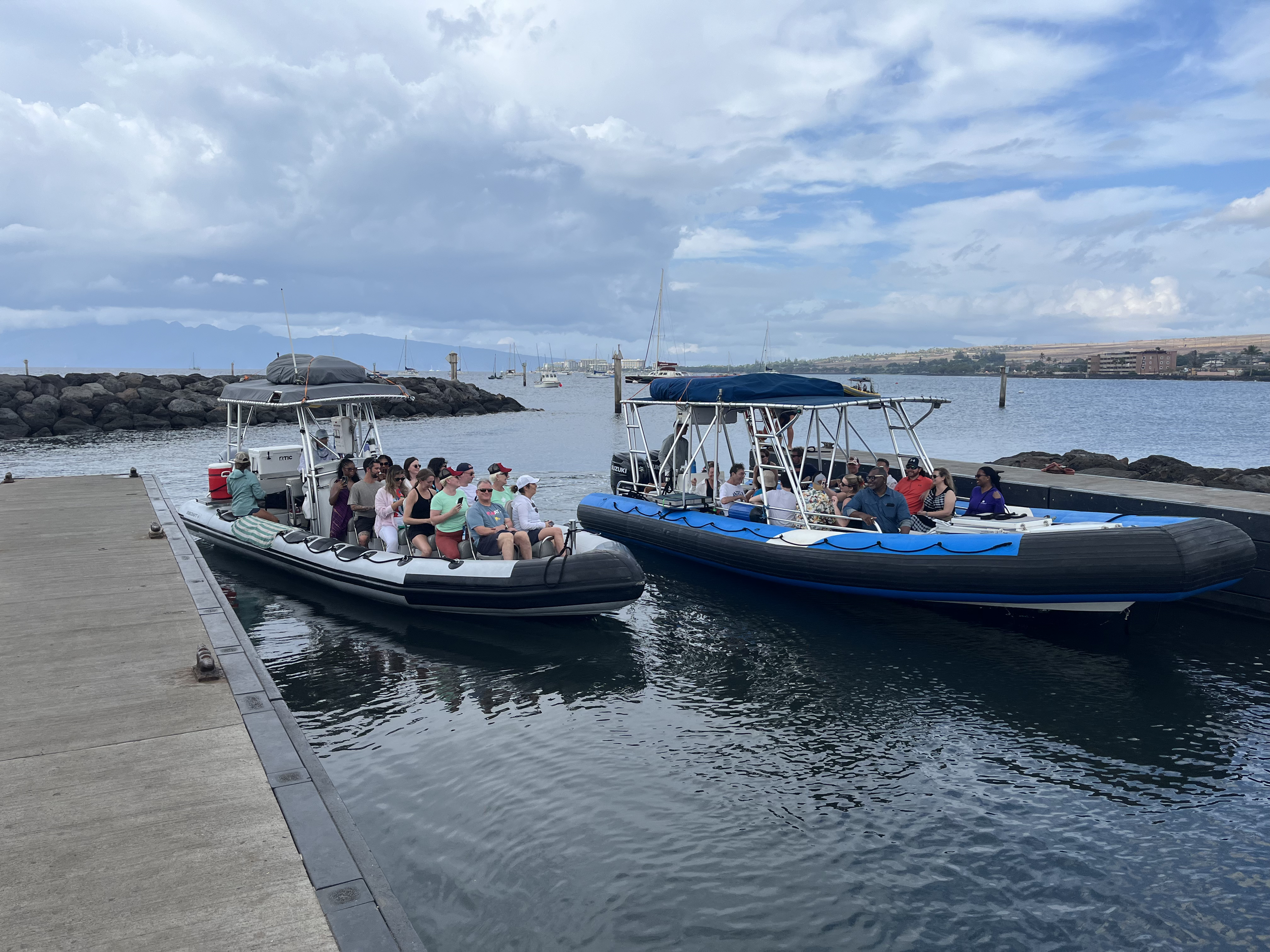 Maui Whale Watching Tour — Eye-Level Eco-Raft