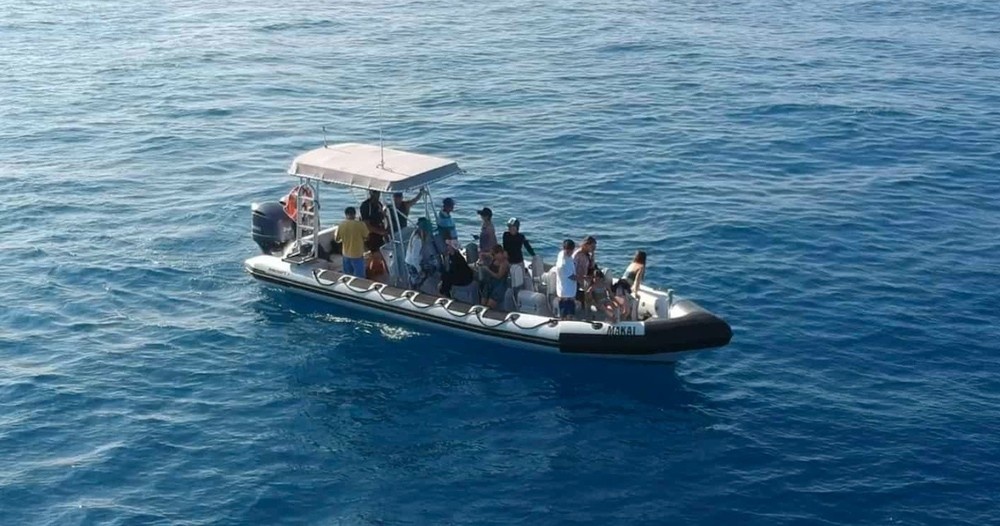 Maui Whale Watching Tour — Eye-Level Eco-Raft