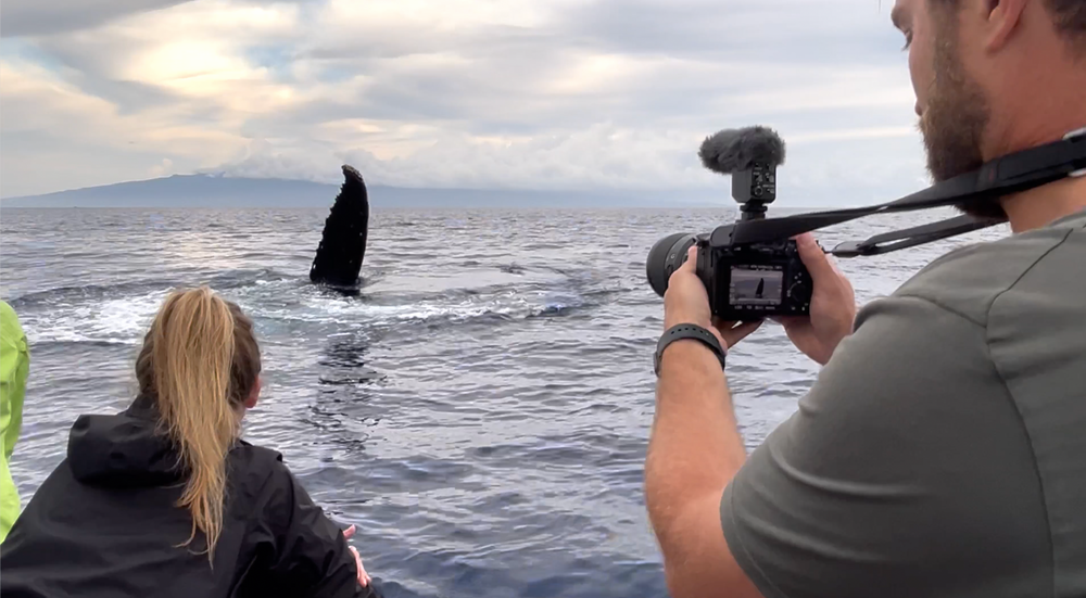 Maui Whale Watching Tour — Eye-Level Eco-Raft