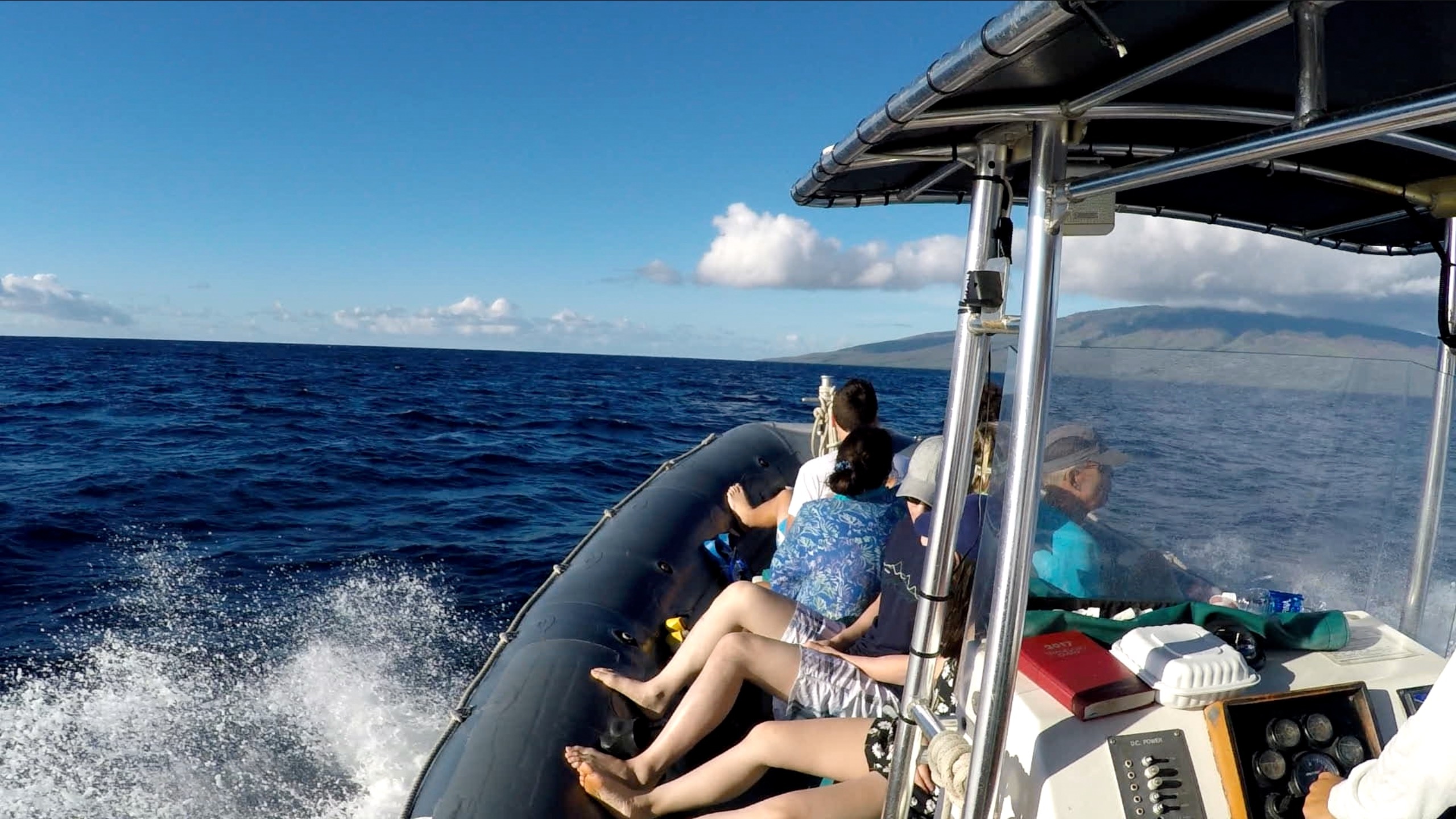 Lanai Snorkeling and Dolphin Watching Tour (Semi-Private)