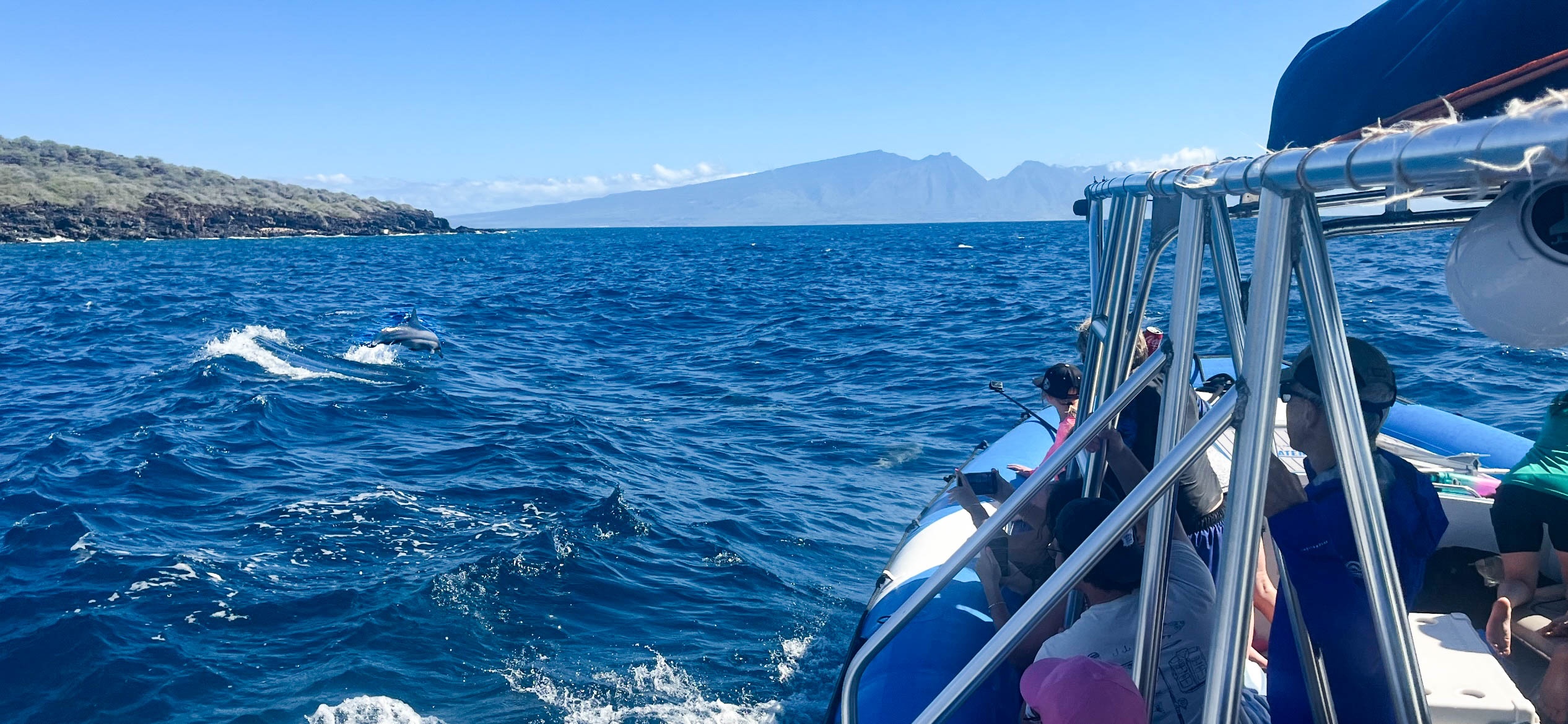 Lanai Snorkeling and Dolphin Watching Tour (Semi-Private)