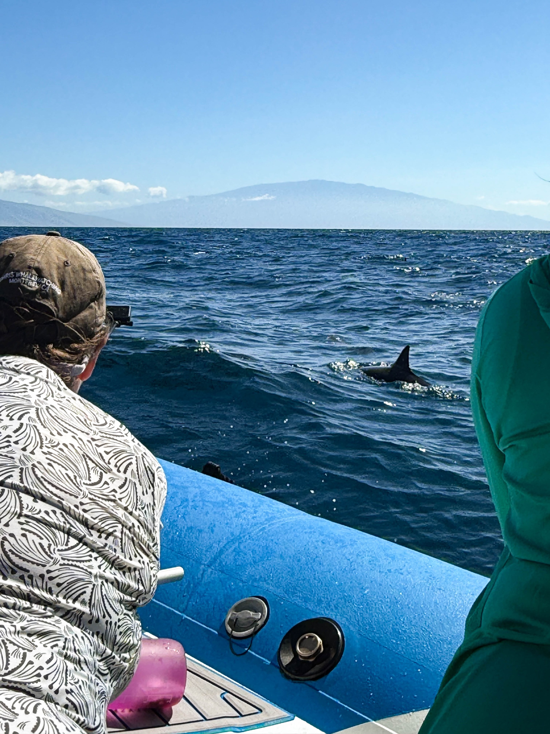 Lanai Snorkeling and Dolphin Watching Tour (Semi-Private)