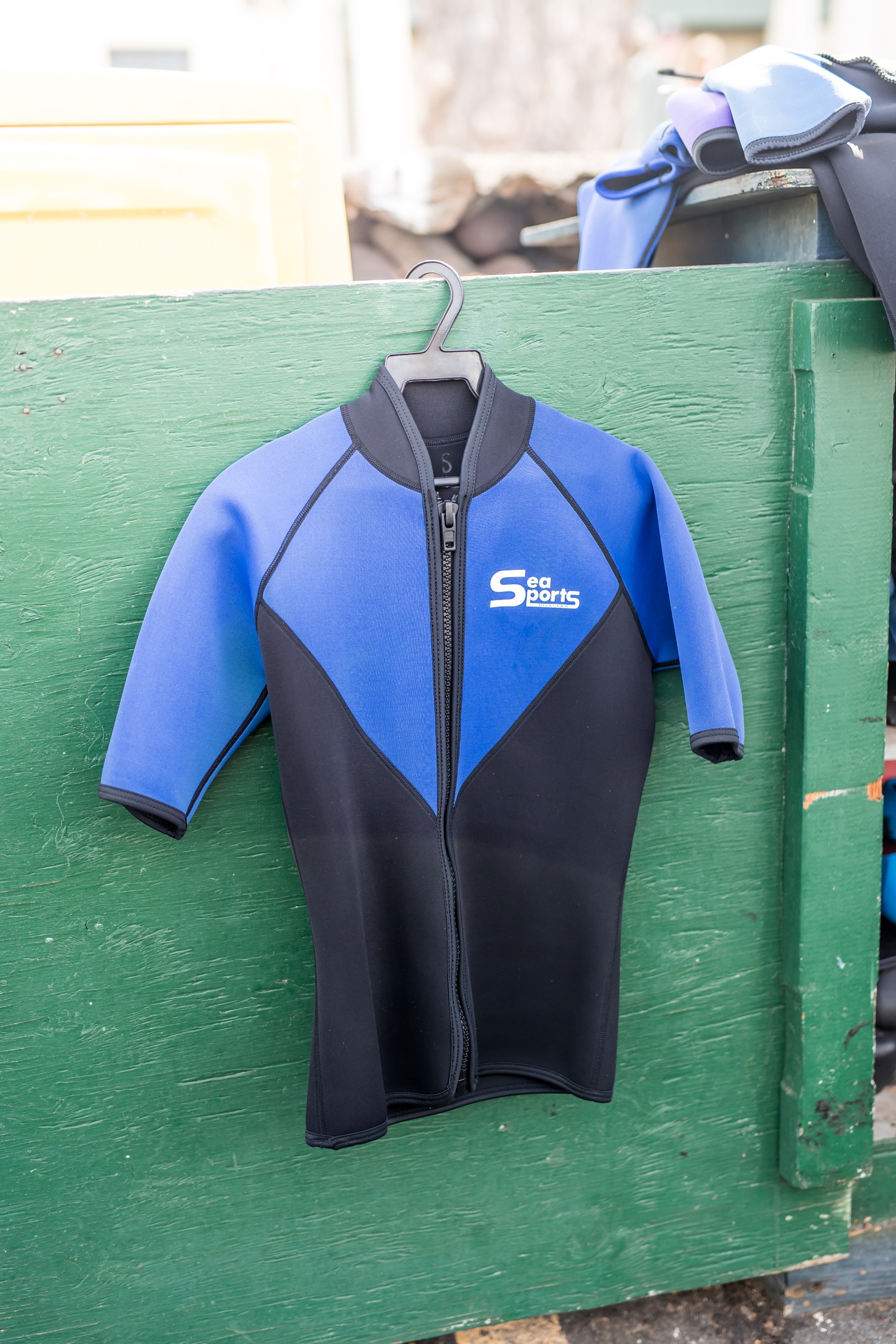 Lanai Snorkeling and Dolphin Watching Tour (Semi-Private)