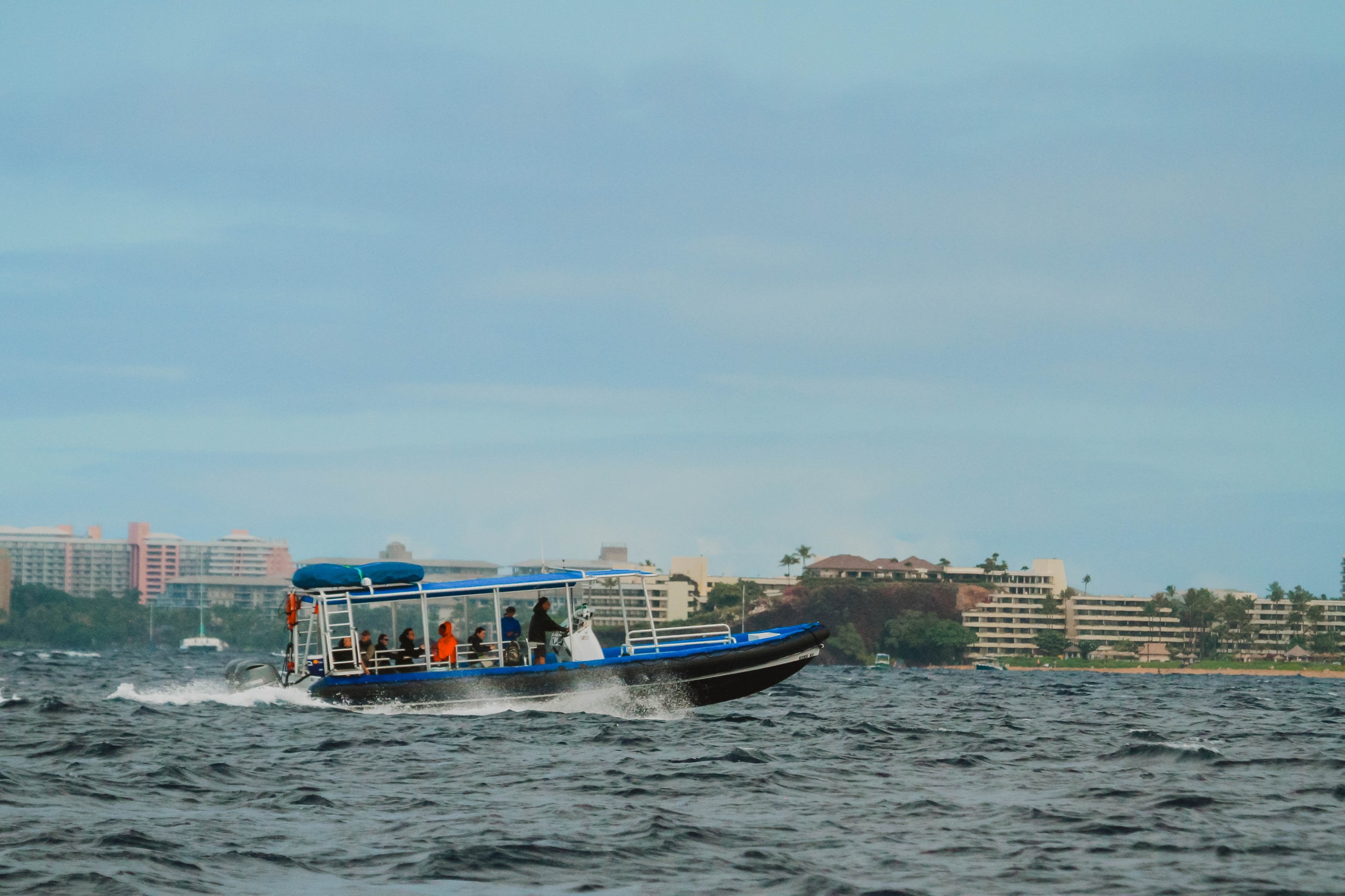 Lanai Snorkeling and Dolphin Watching Tour (Semi-Private)