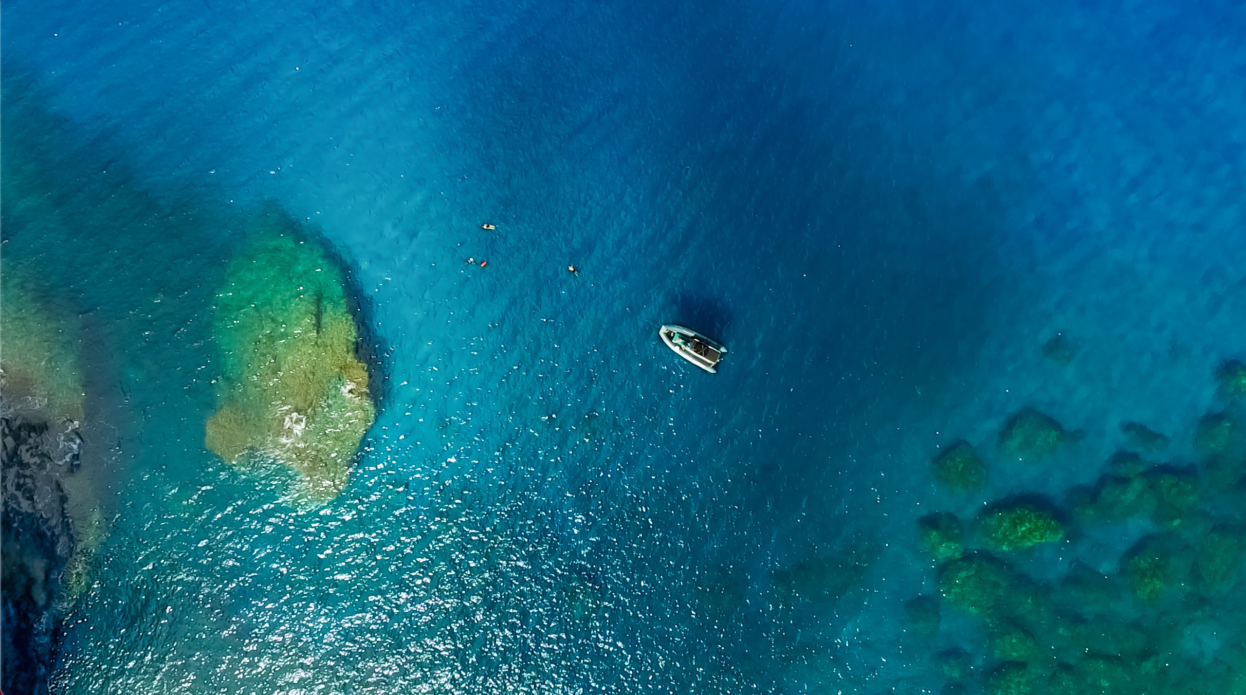 Lanai Snorkeling and Dolphin Watching Tour (Semi-Private)