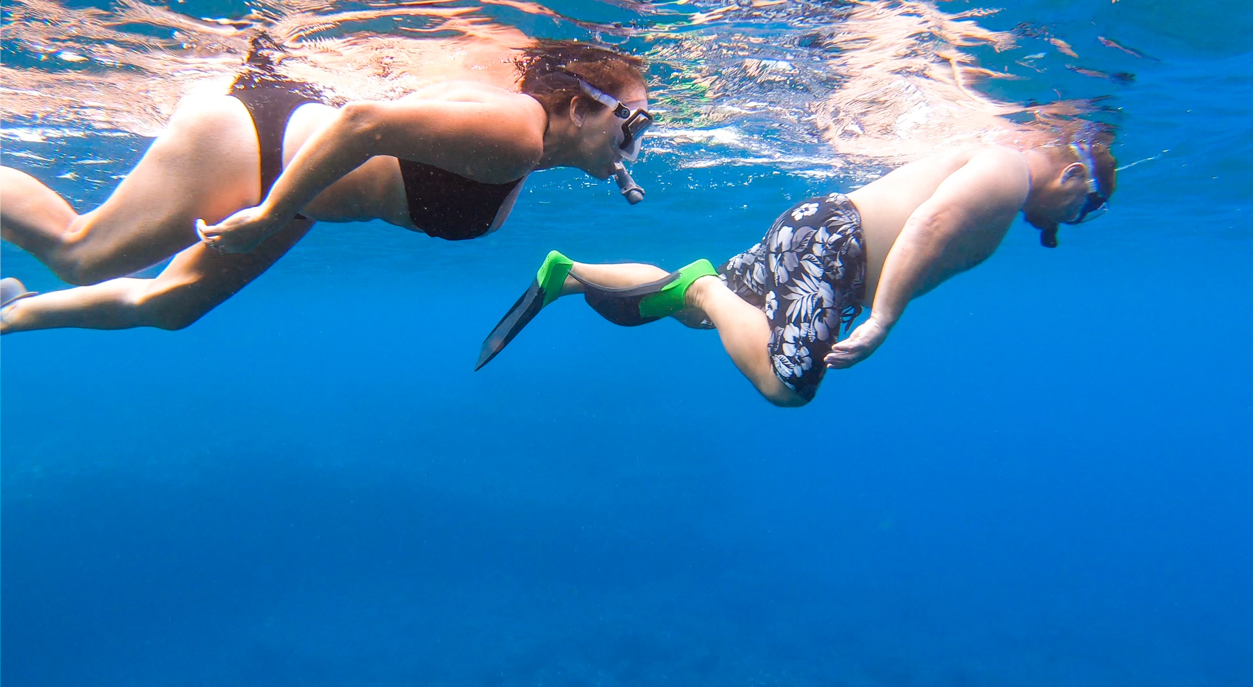 Lanai Snorkeling and Dolphin Watching Tour (Semi-Private)