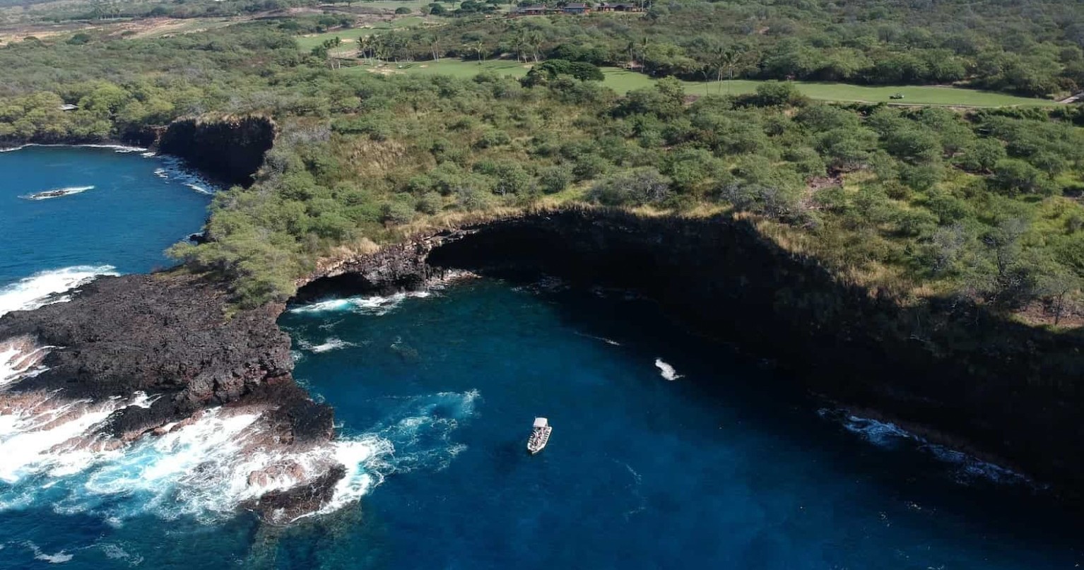 Maui Turtle Snorkeling &amp; Whale Watching Tour (2n1/Semi-Private)