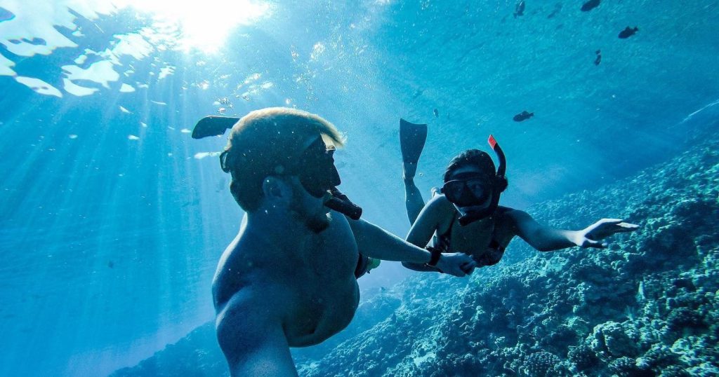Maui Turtle Snorkeling &amp; Whale Watching Tour (2n1/Semi-Private)