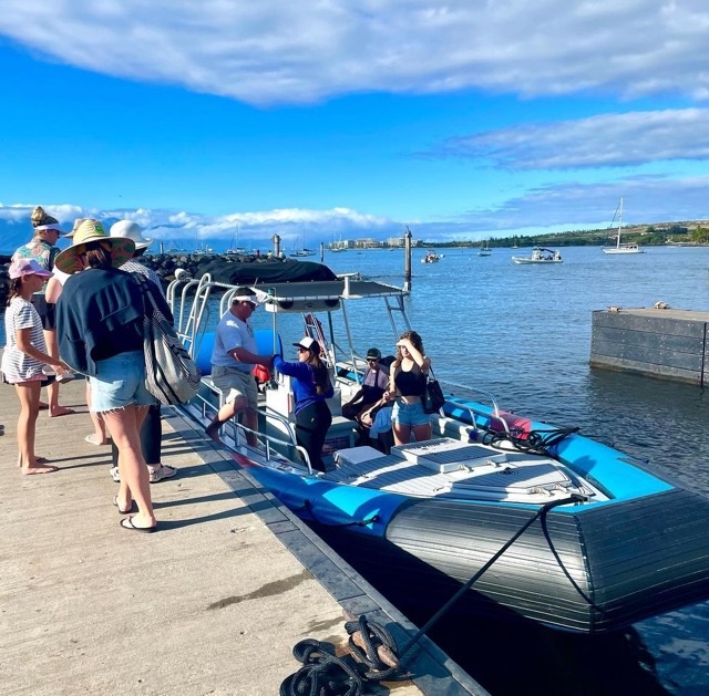 Maui Turtle Snorkeling &amp; Whale Watching Tour (2n1/Semi-Private)
