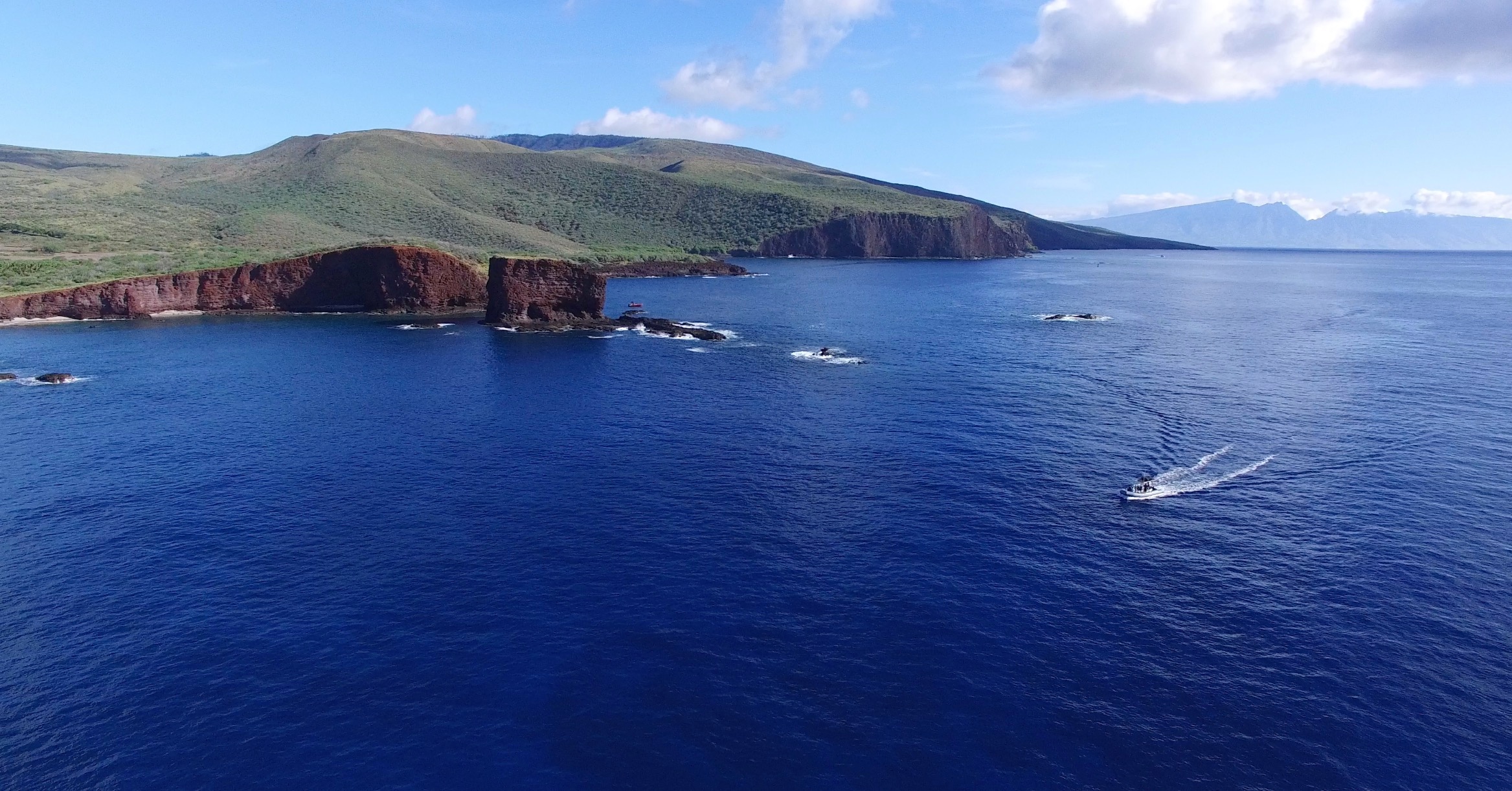 Maui Turtle Snorkeling &amp; Whale Watching Tour (2n1/Semi-Private)