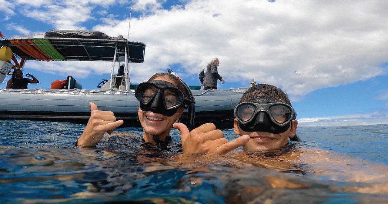 Maui Turtle Snorkeling &amp; Whale Watching Tour (2n1/Semi-Private)