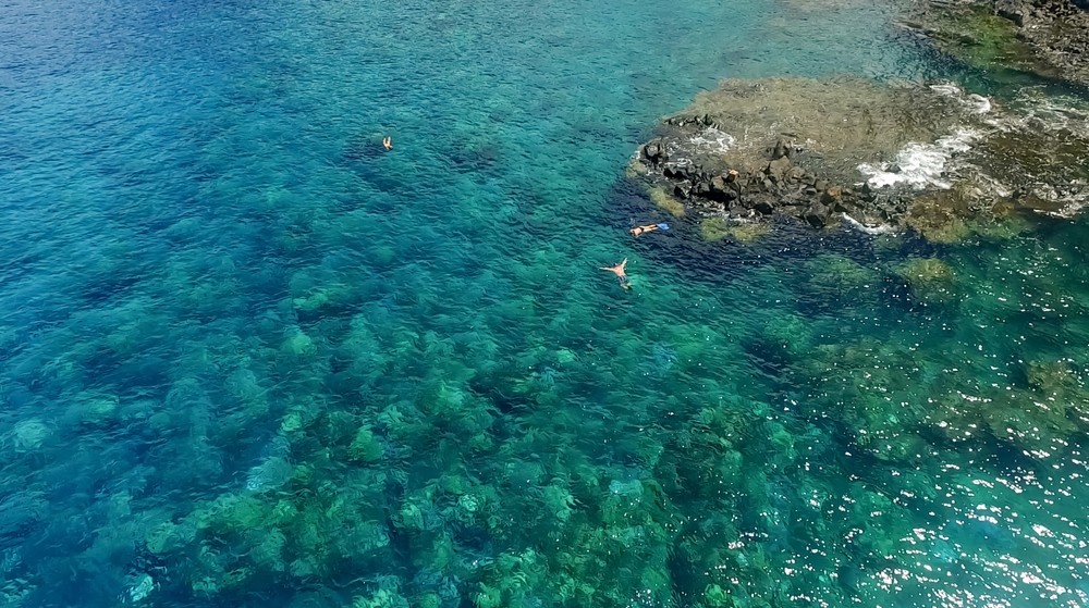 Maui Turtle Snorkeling &amp; Whale Watching Tour (2n1/Semi-Private)