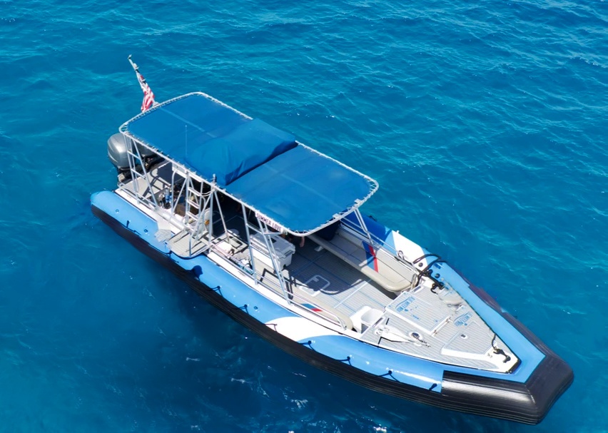Maui Turtle Snorkeling &amp; Whale Watching Tour (2n1/Semi-Private)