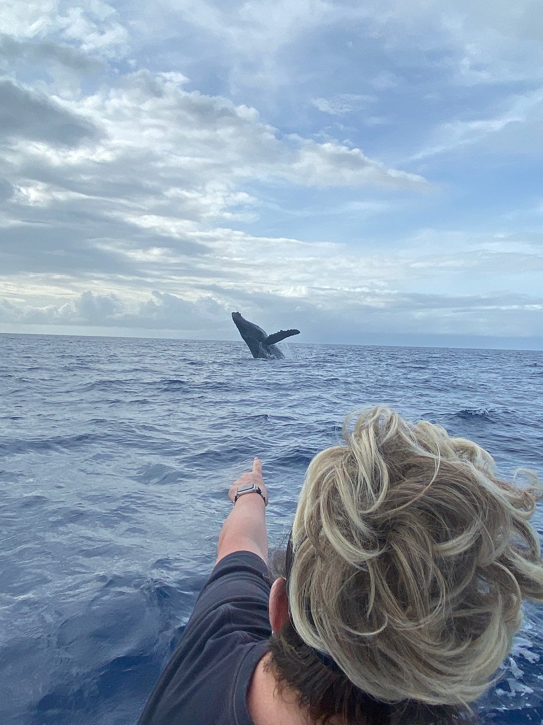 Maui Turtle Snorkeling &amp; Whale Watching Tour (2n1/Semi-Private)
