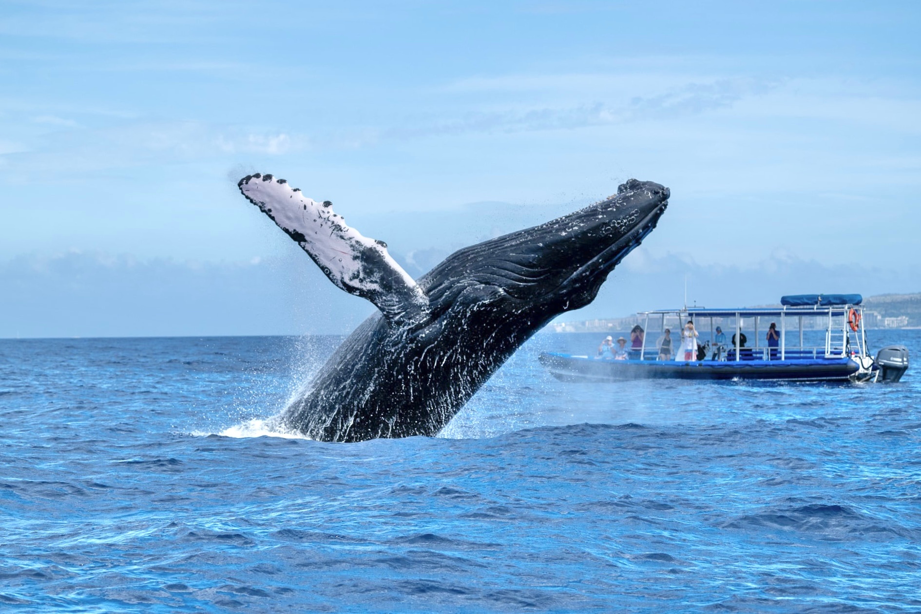 Maui Private Boat Charter — Hourly (Custom Experience)