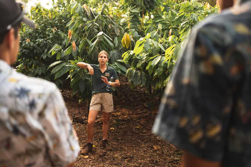 Cacao Farm & Chocolate Tour