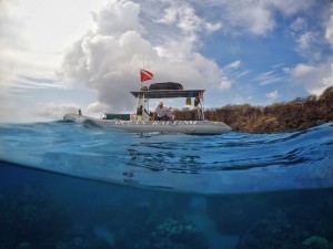 let's get to know Hawaii Ocean Rafting