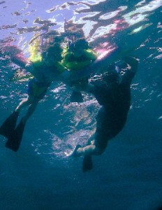 lahaina snorkeling trips crystal blue water