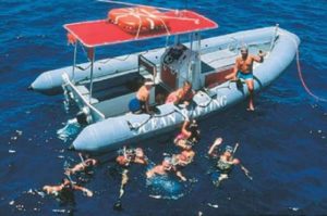 Are you looking for a Maui Adventure?