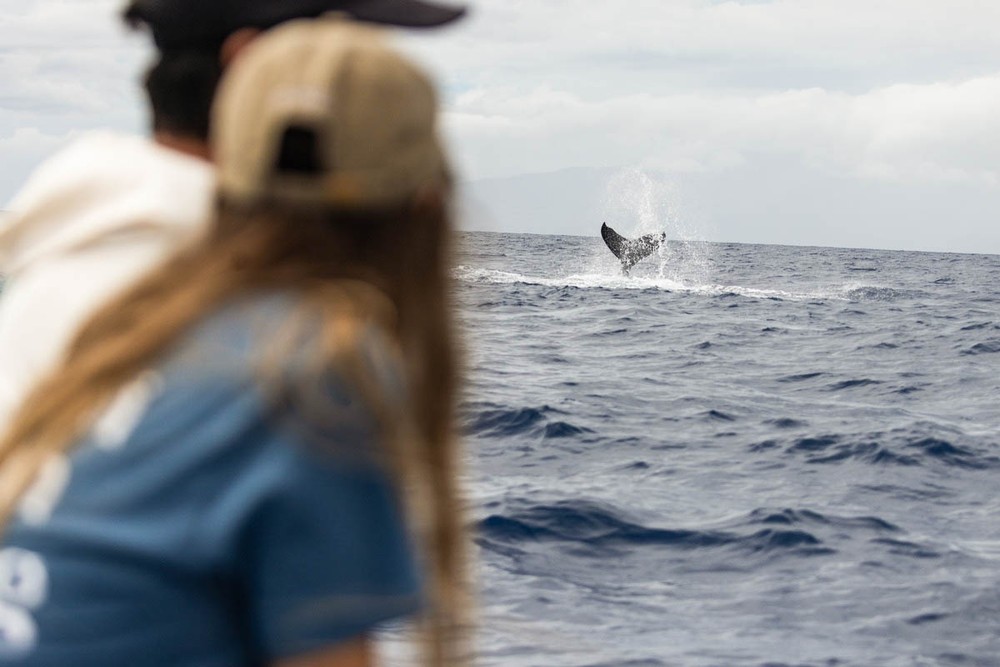 See It From the Water