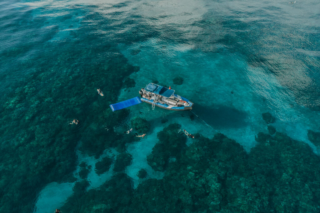 Snorkeling Tours Through Crystal Clear Reefs in Maui and Lānaʻi