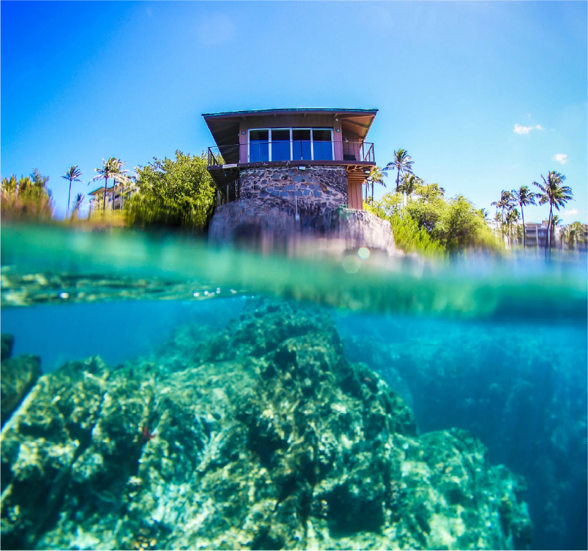 Honolua Bay Snorkel Spot