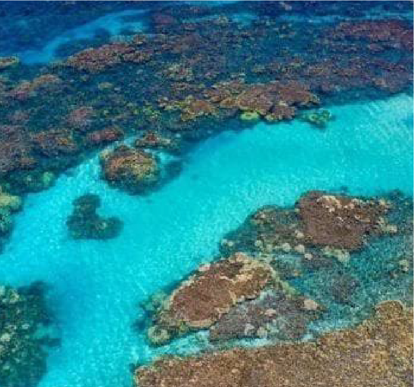 Sweetheart Rock Snorkel Spot