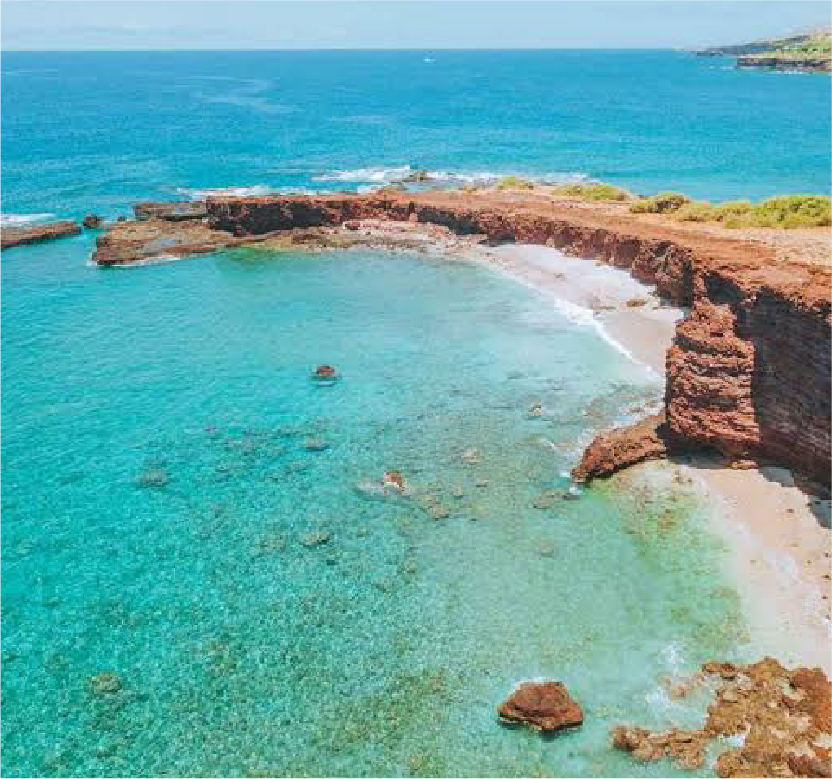 Olowalu Reef Snorkel Spot