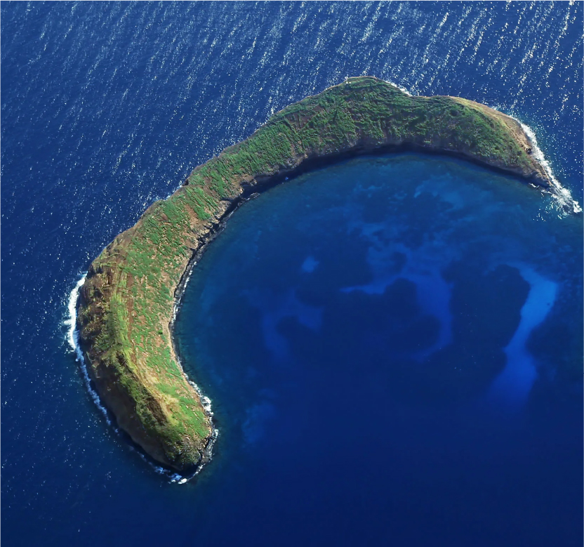 Club Lanai Snorkel Spot