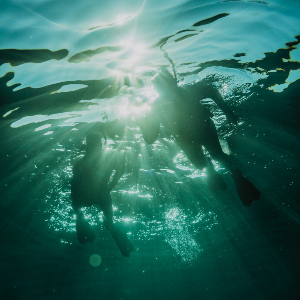 Where You'll Find Green Sea Turtles