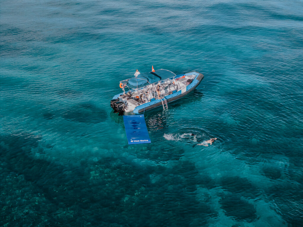 Selecting the Best Places to Snorkel in Maui