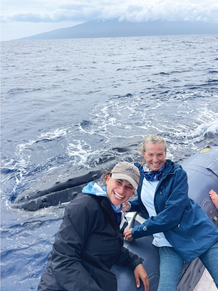 Ali’i Whale Watch Passes
