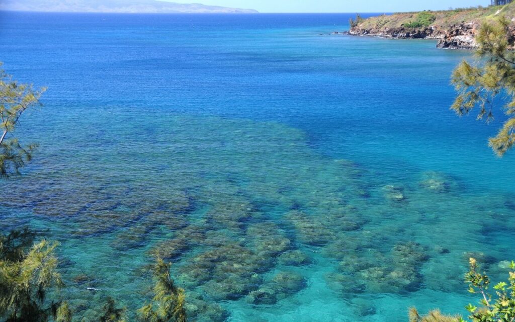 Honolua Bay Snorkel Spot
