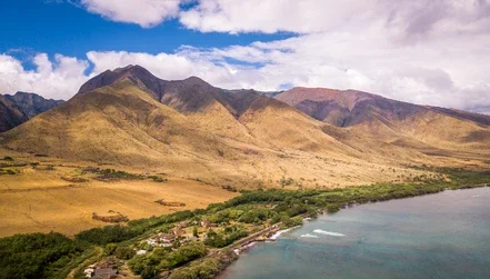 Olowalu Reef Snorkel Spot